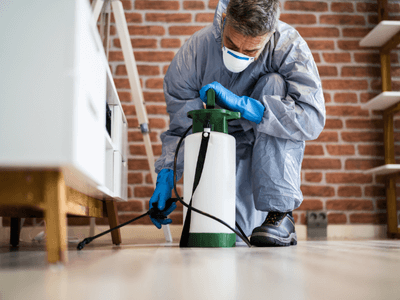 About Holden Bed Bug Heat Treatment - bed bug heat treatment experts in Holden
