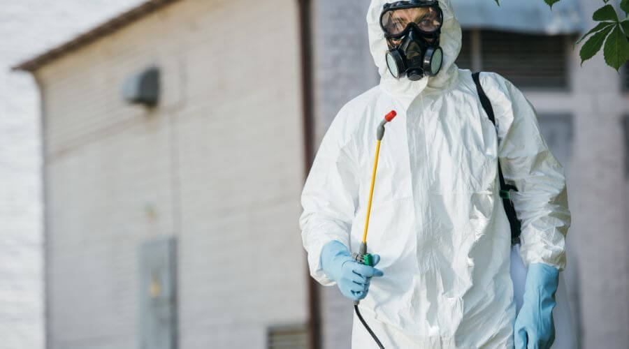 Professional bed bug heat treatment services in Holden - Holden Bed Bug Heat Treatment