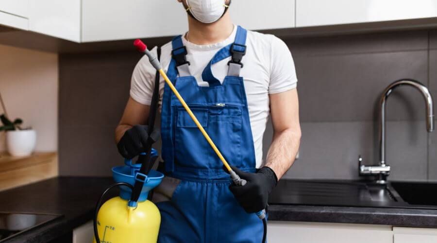 Why choose Holden Bed Bug Heat Treatment for bed bug heat treatment in Holden
